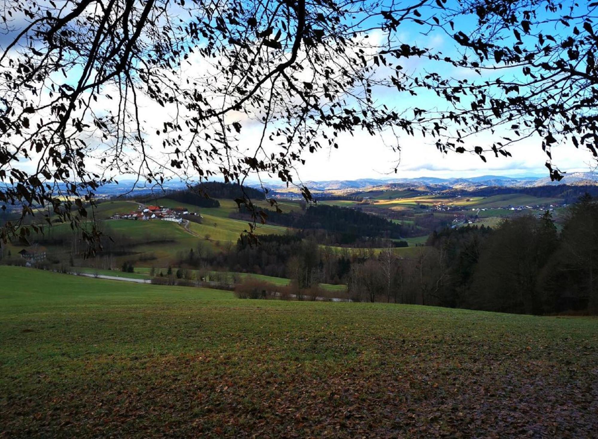 Ferienwohnung Am Woid - Herrliche Alleinlage - Vegane Einrichtung Waldkirchen Luaran gambar