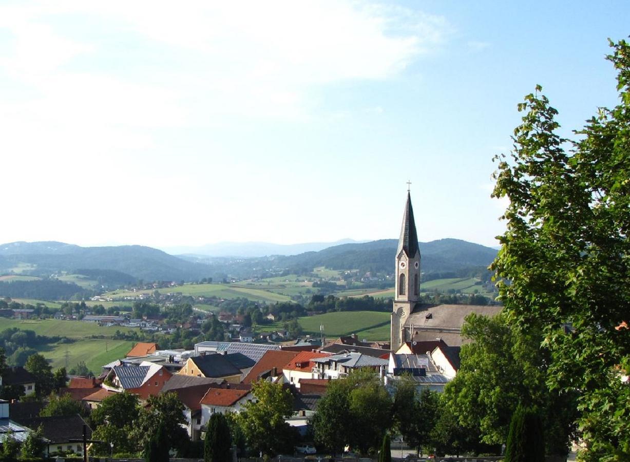 Ferienwohnung Am Woid - Herrliche Alleinlage - Vegane Einrichtung Waldkirchen Luaran gambar